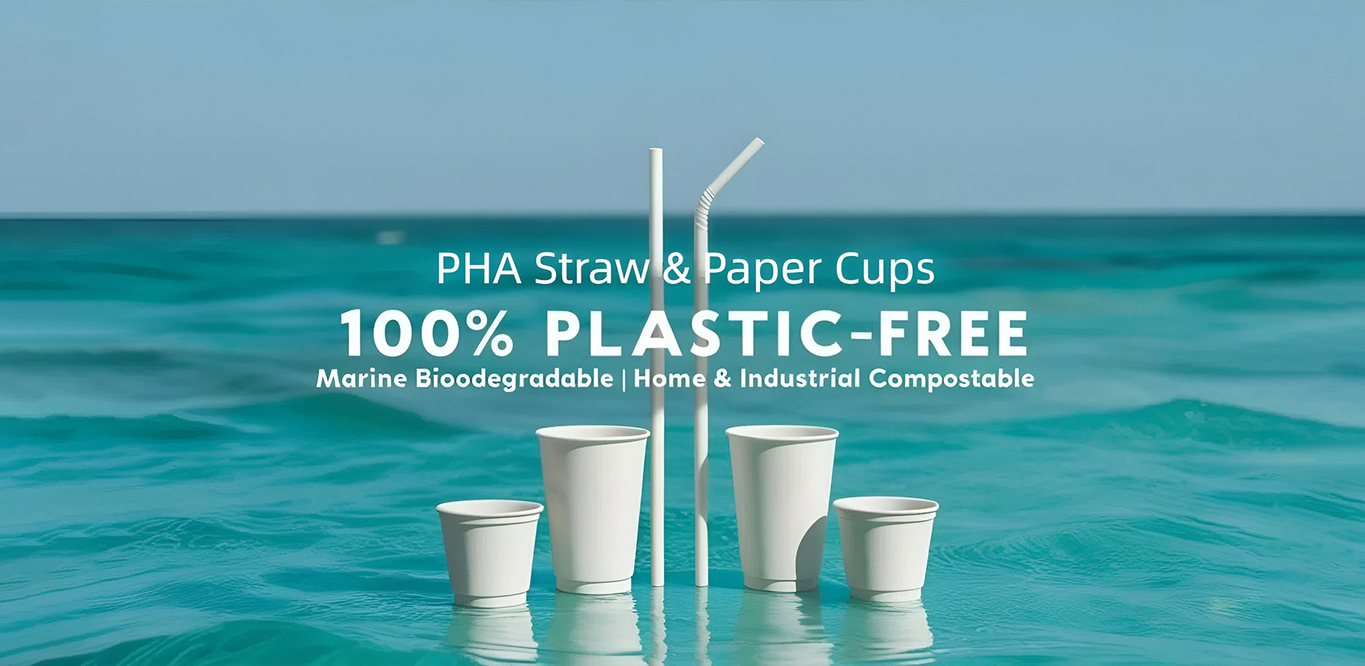 Txinako paper kopa hornitzailea