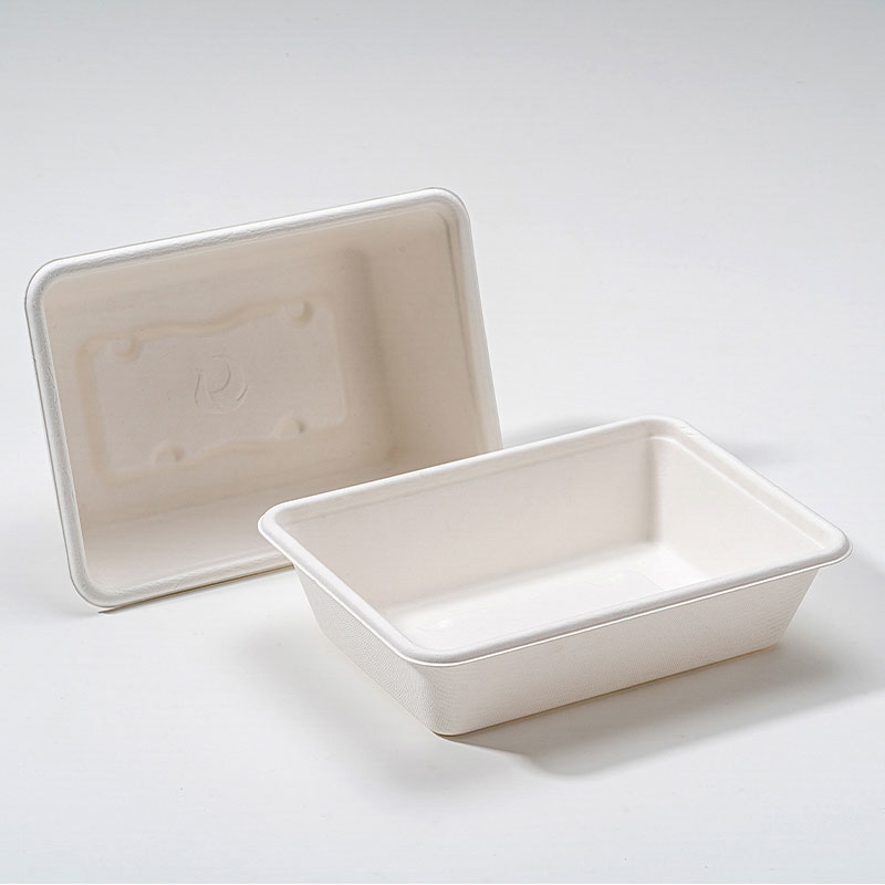 Zergatik da Bagasse Square Box Elikagaien Enbalaje Iraunkorraren Etorkizuna?