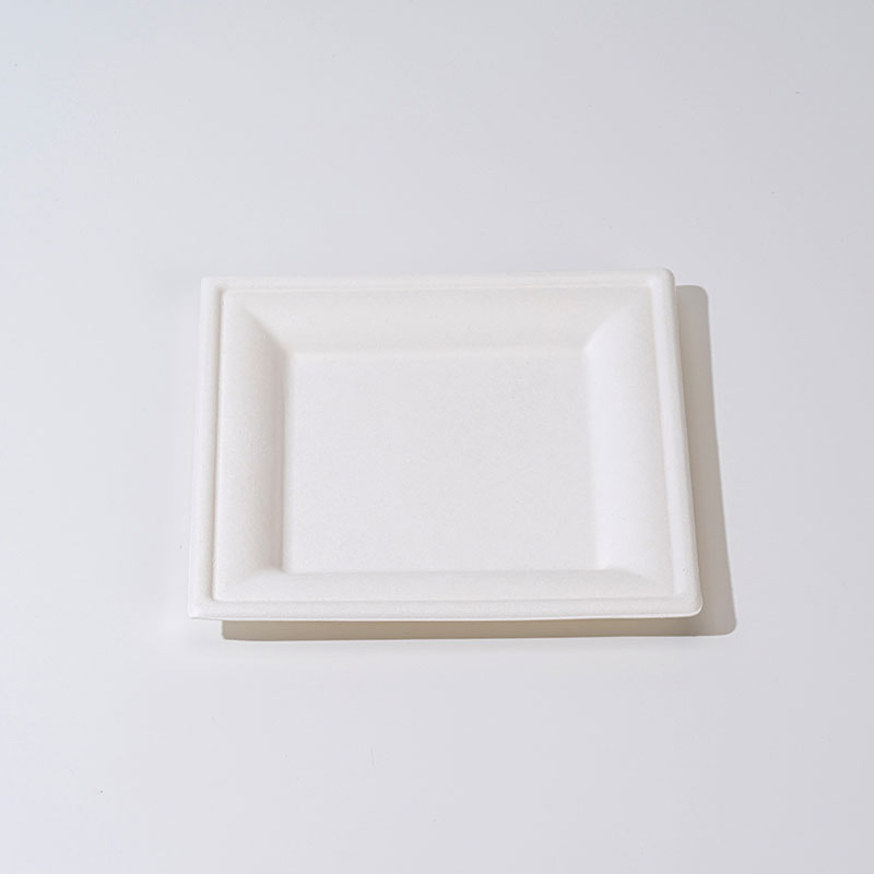 SugarCane Pulp erretilua